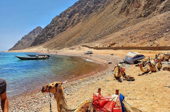 Dahab