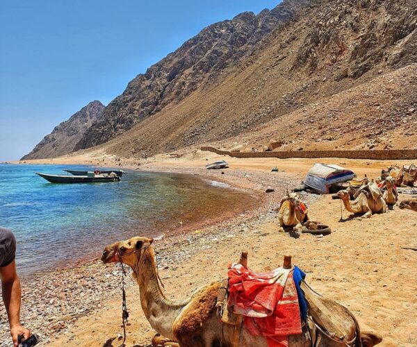 Dahab