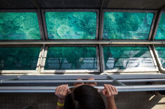 Glass Boat