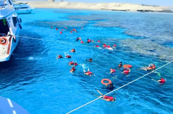 Tour di snorkeling di un giorno intero a Sharm El-Luli.