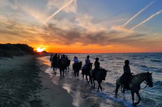 Passeggiata a Cavallo sulla Spiaggia